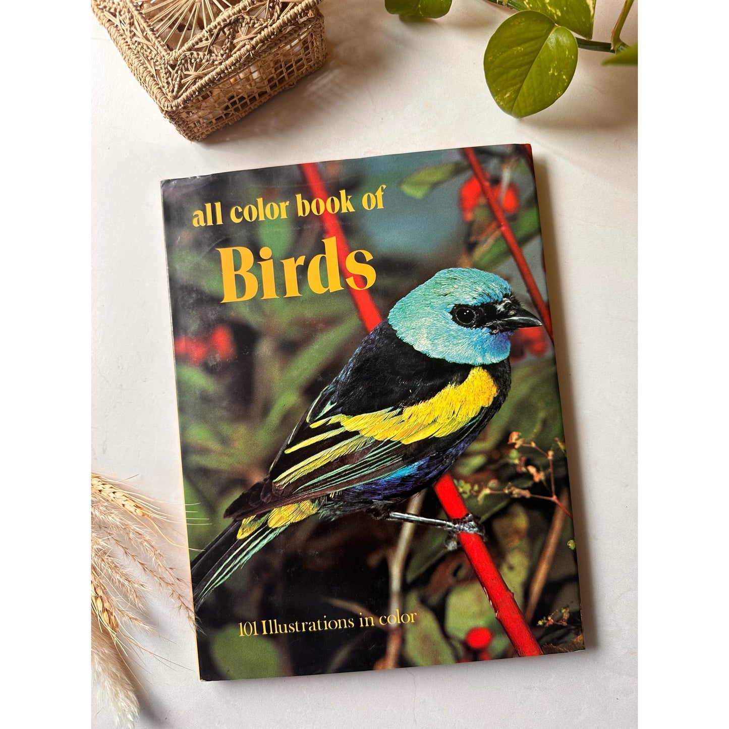 All Color Book about Birds